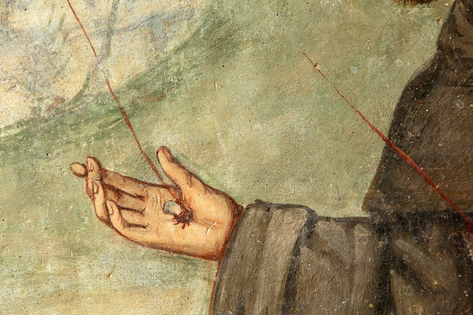 The Stigmata Of St Francis Franciscan Media