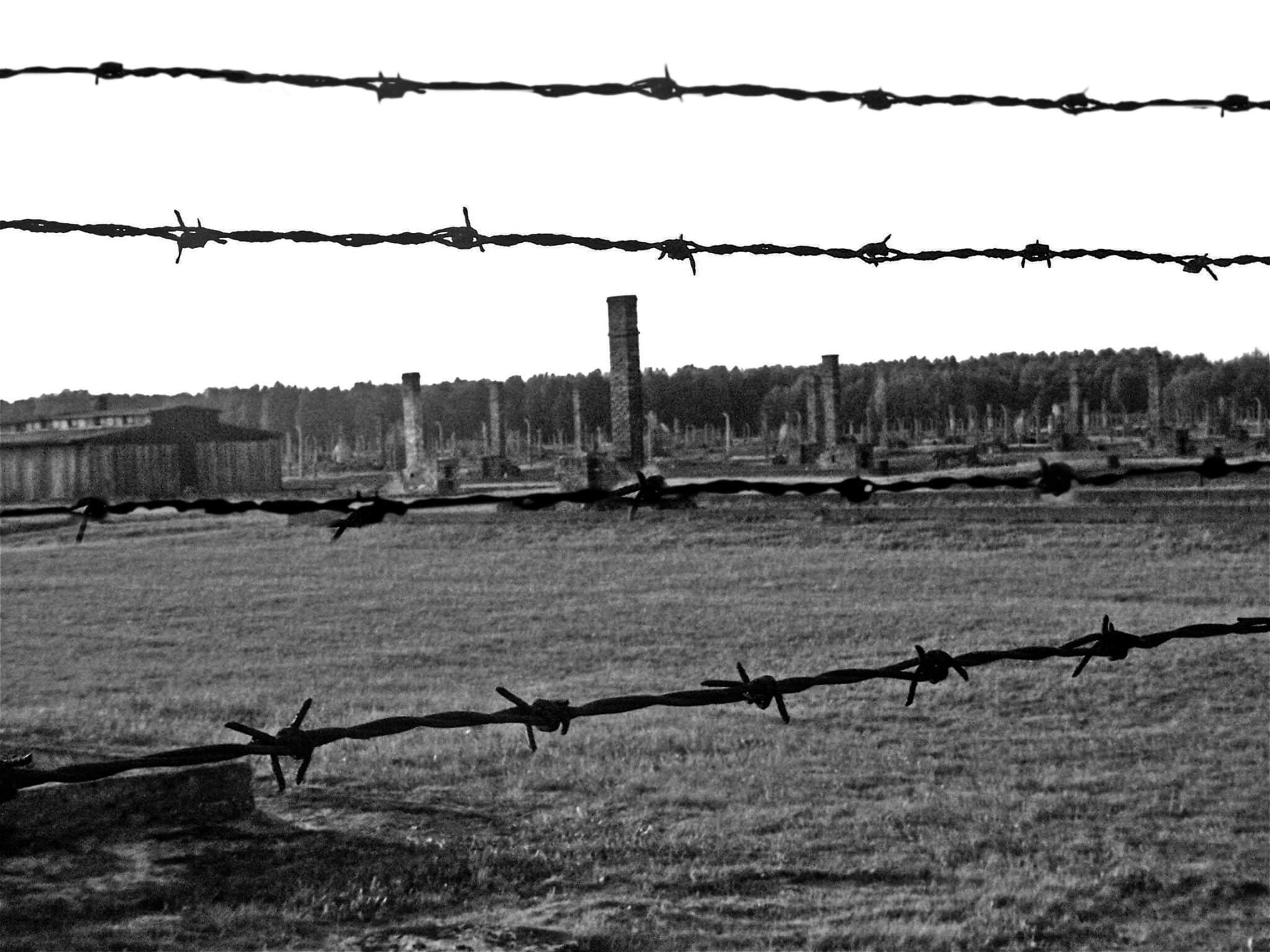 barbed wire fence in a field