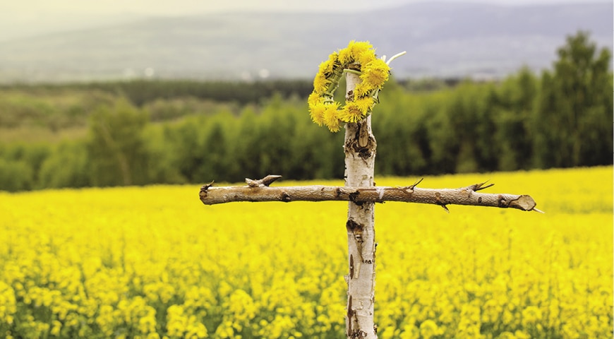cross in a field of yellow flowers