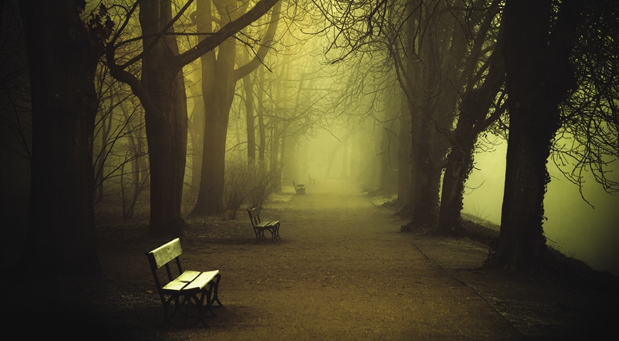 tree lined path with benches