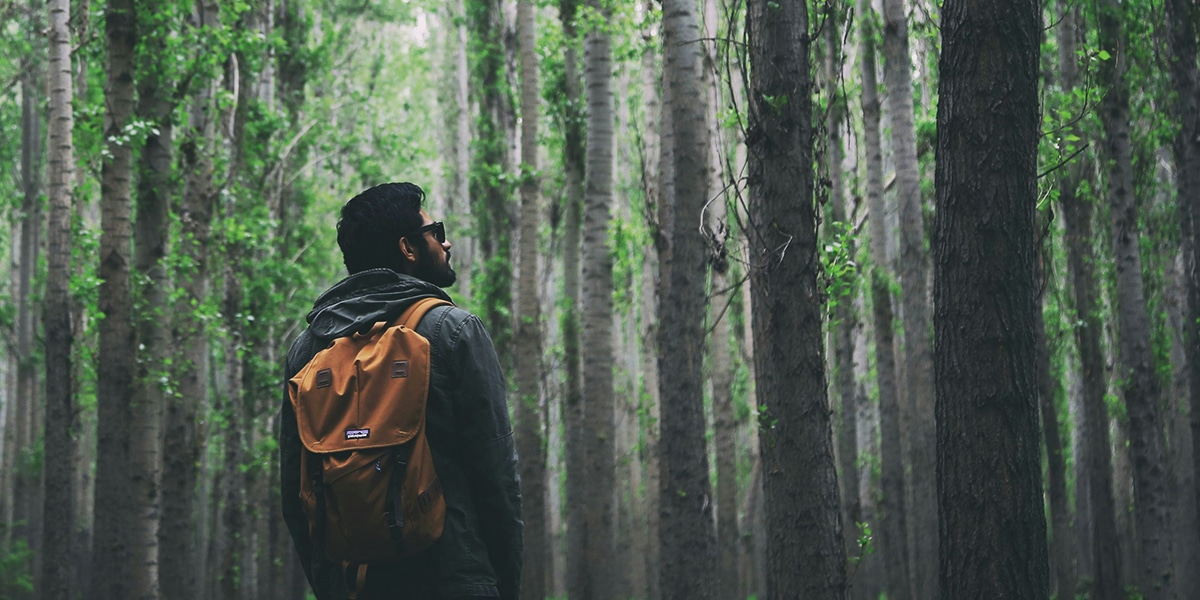 man standing in forest, surrounded by trees with green leafs