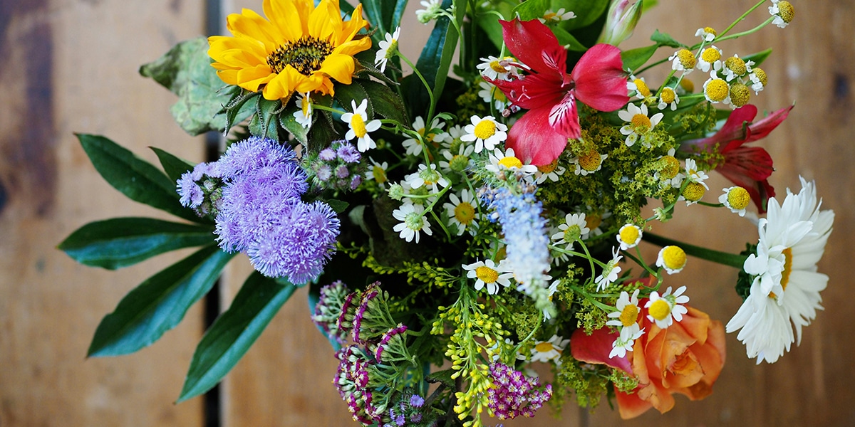 Bouquet of assorted flowers