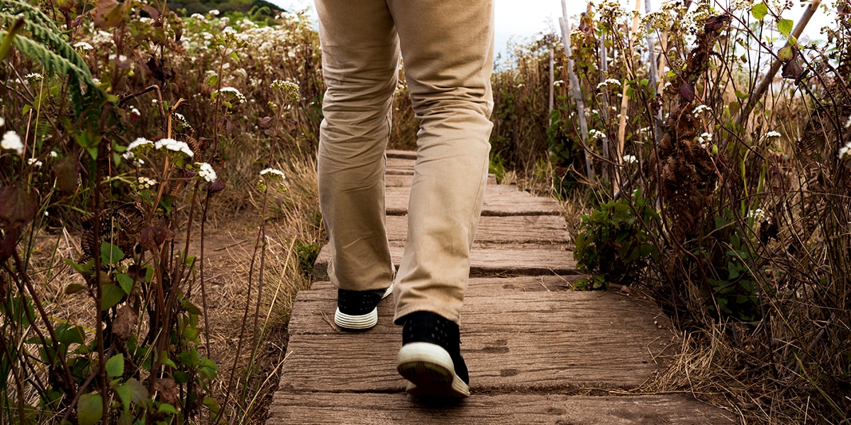 man walking on board walk through fields.