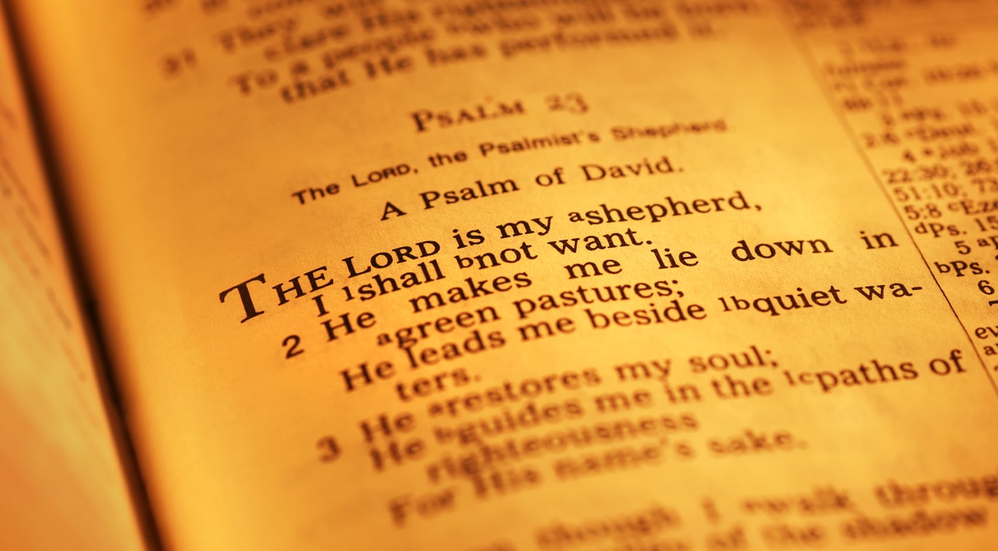 Psalm 23 in the Bible