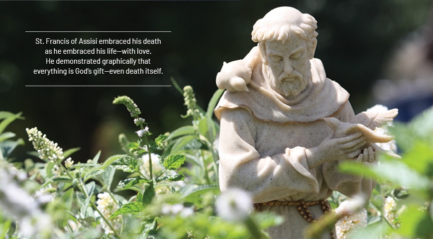 Saint Francis in a garden