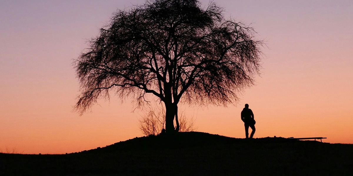 silhouette of a man standing by a tree during a sunset