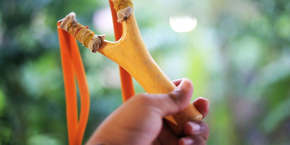 hand holding a slingshot with trees in the background