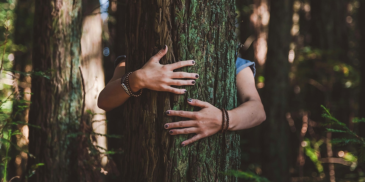 arms wrapped around an old tree