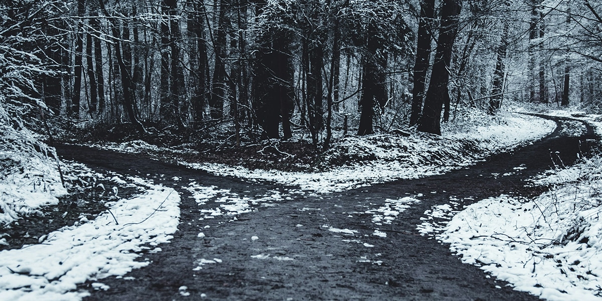 fork in the forest with two paths heading in different directions