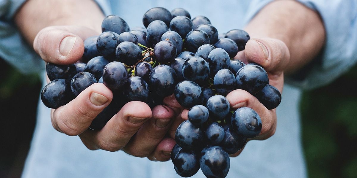 hands holding fresh produce, grapes