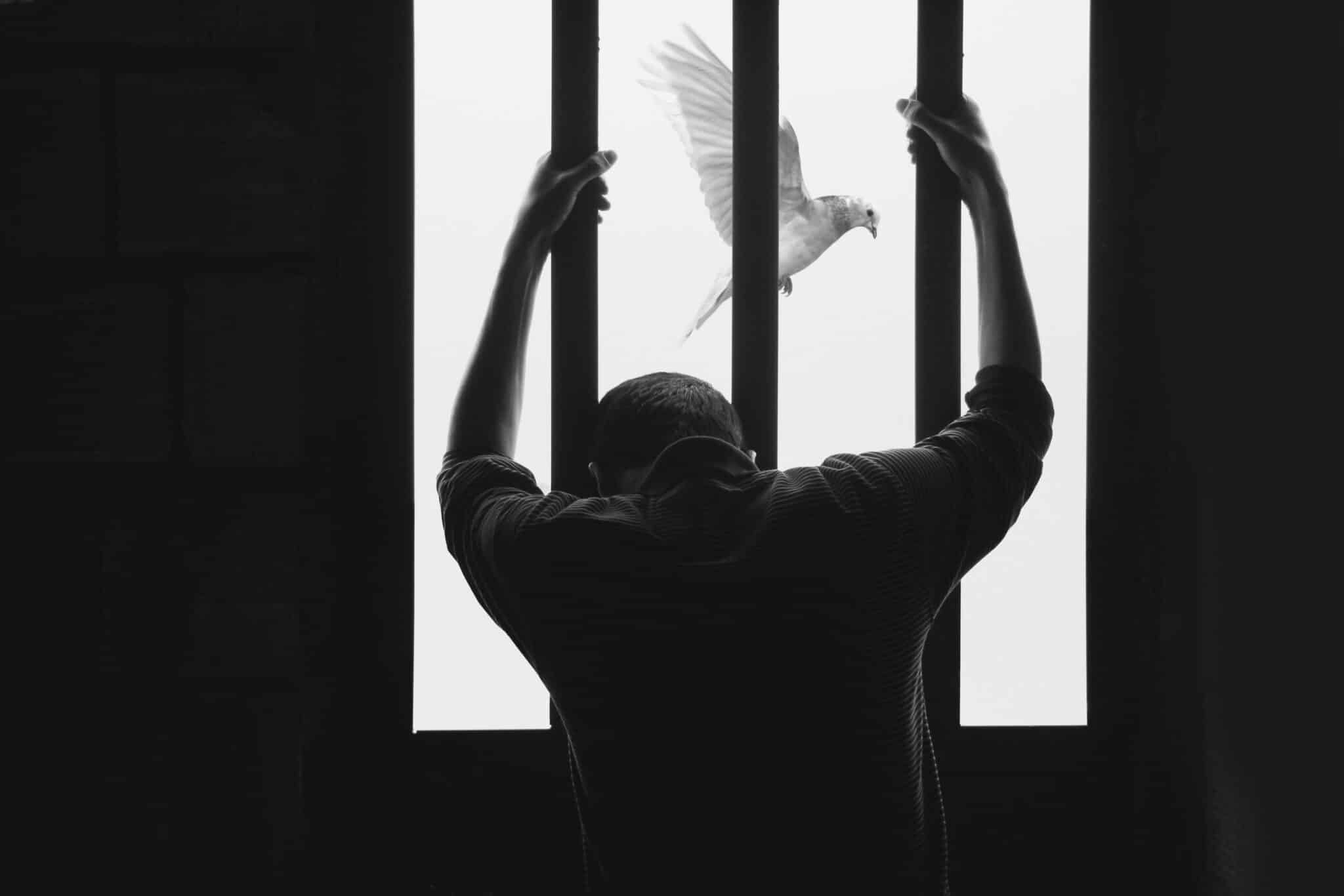 Man in prison with a dove | Hasan Almasi via Unsplash